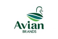 lowongan kerja avian brands sidoarjo juni 2021